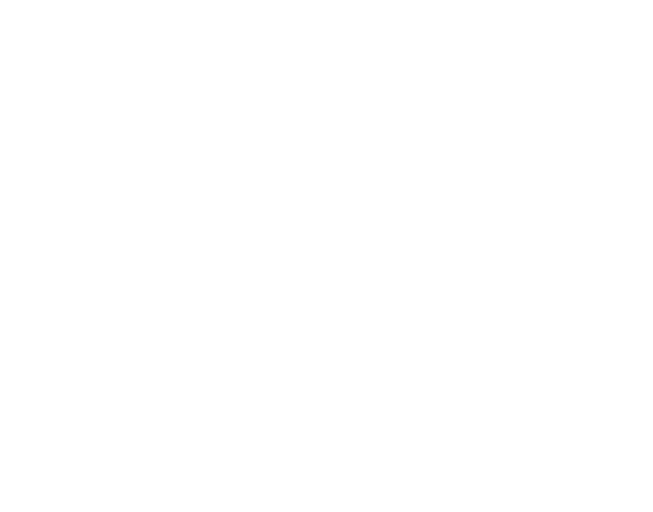 Styloptic